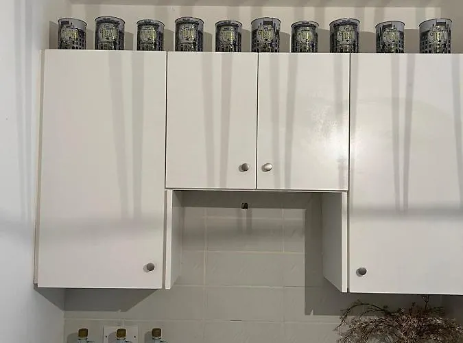 Aphrodite 2 Bedroom Down Town 公寓 尼科西亚